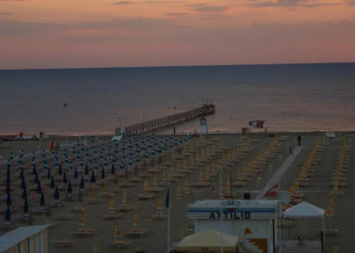 Nelson Rimini