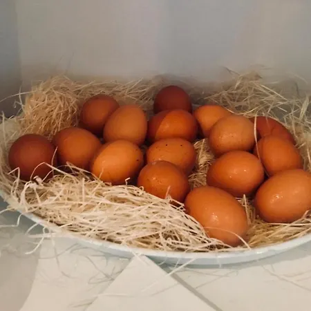 Nelson 호텔 리미니