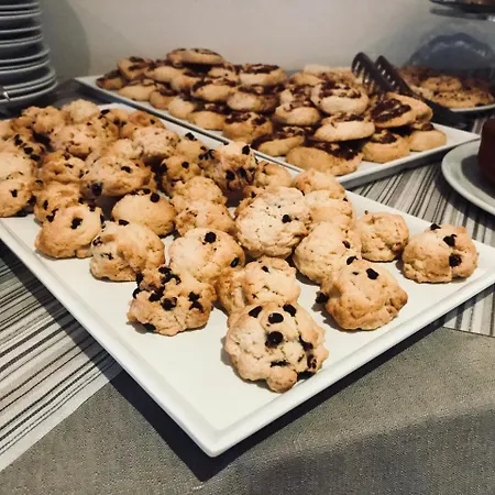 酒店 尼尔森酒店